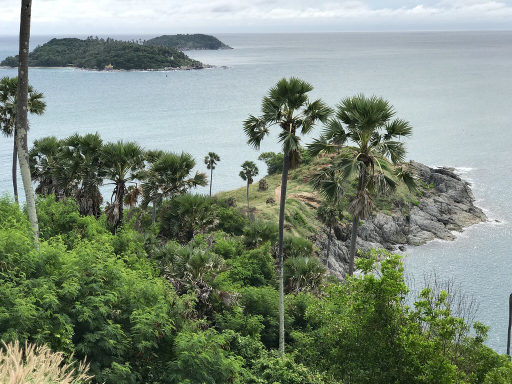 Palm trees and the headland at Promthep Cape, one of Phuket's most romantic sunset viewpoints